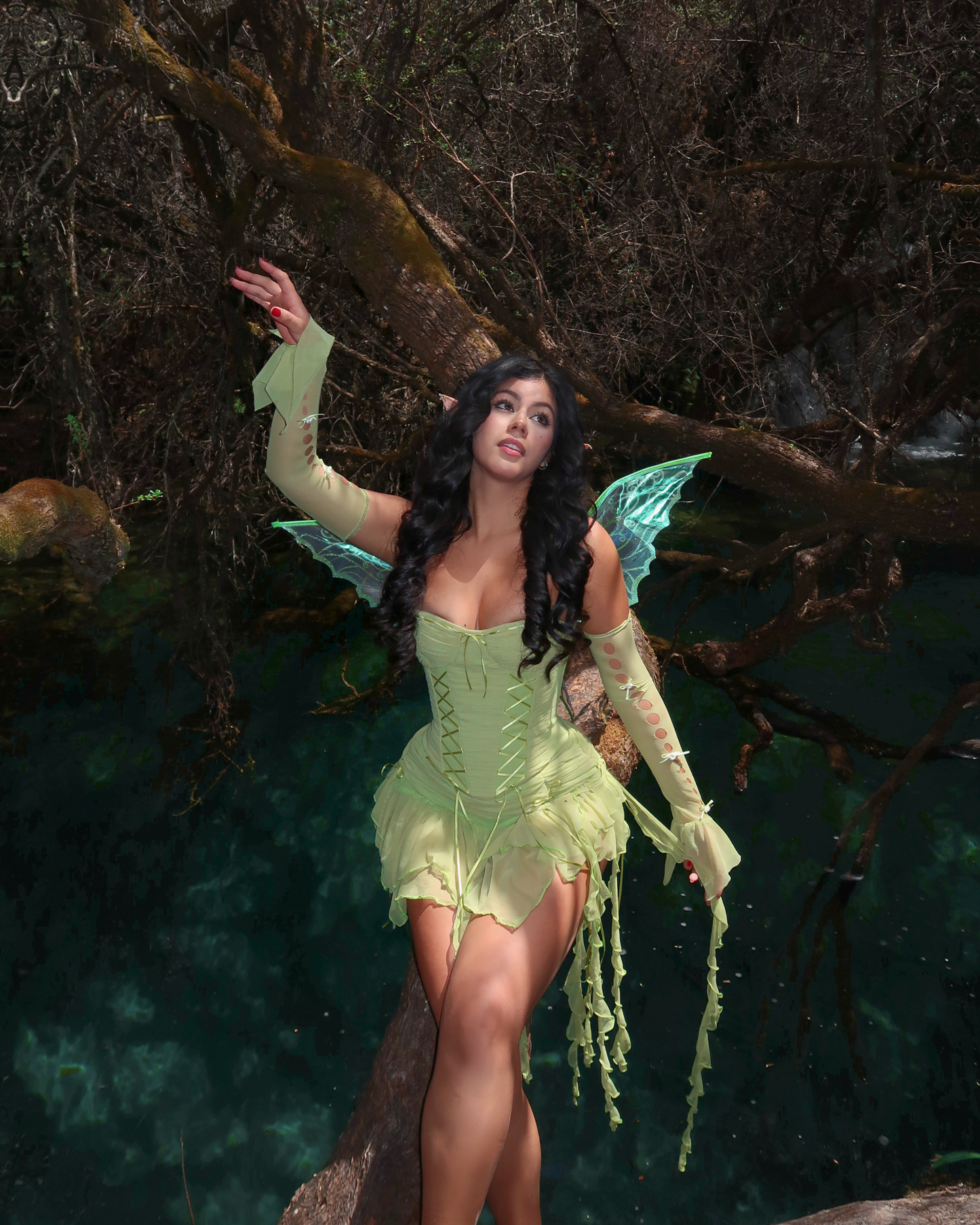 Fairy Costume