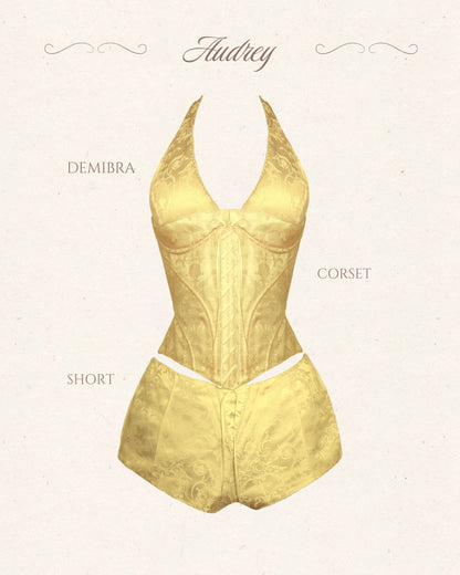 Audrey Set (top + corset + bottom)