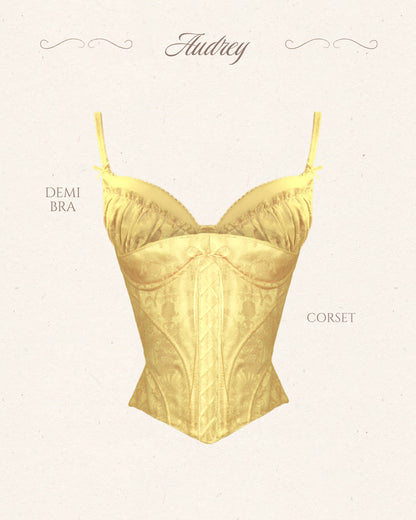 Audrey Set (top + corset)