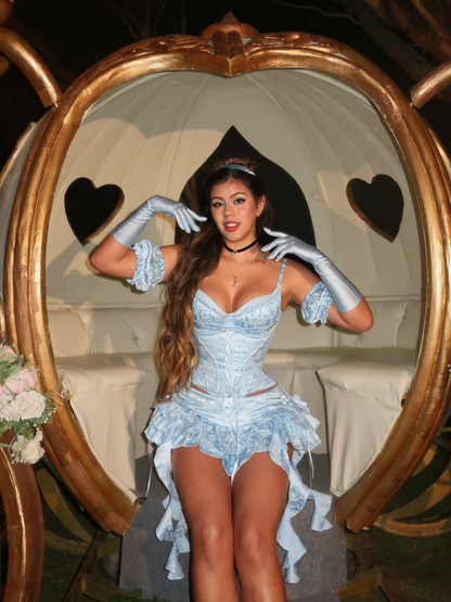 Cinderella costume (Audrey Set)